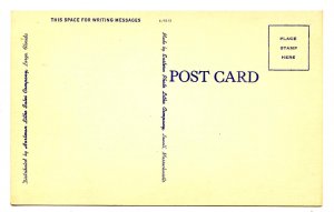 FL - Royal Palm Lined Drive