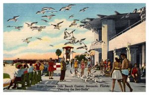 Postcard CASINO SCENE Sarasota Florida FL AR5818