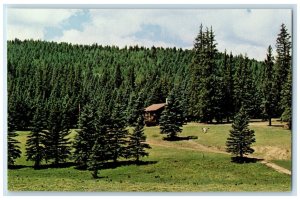 c1960's Beaubien Camp Trees Scene Cimarron New Mexico NM Unposted Cabin Postcard