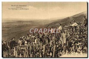 Old Postcard Folklore Wine Vintage Champagne Moet & Chandon Champagne Harvest...