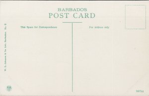 Queen's Park Bridgetown Barbados Unused WL Johnson Postcard E90