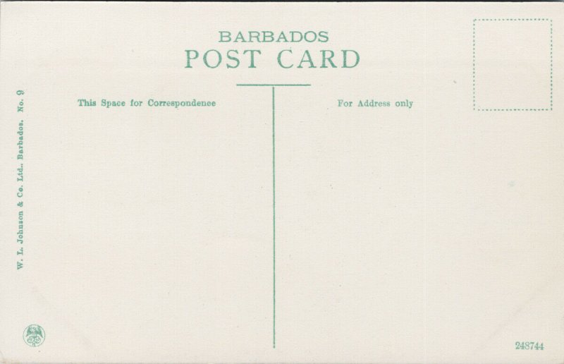 Queen's Park Bridgetown Barbados Unused WL Johnson Postcard E90