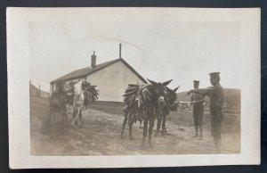 Mint USA RPPC Real Picture Postcard Native American Indian Bringing Corn