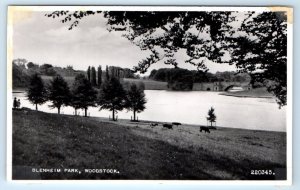 RPPC Blenheim Park WOODSTOCK England UK Postcard