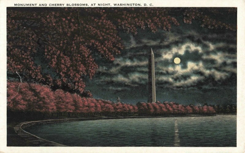 Postcard Washington Monument and Cherry Blossoms at Night Washington DC