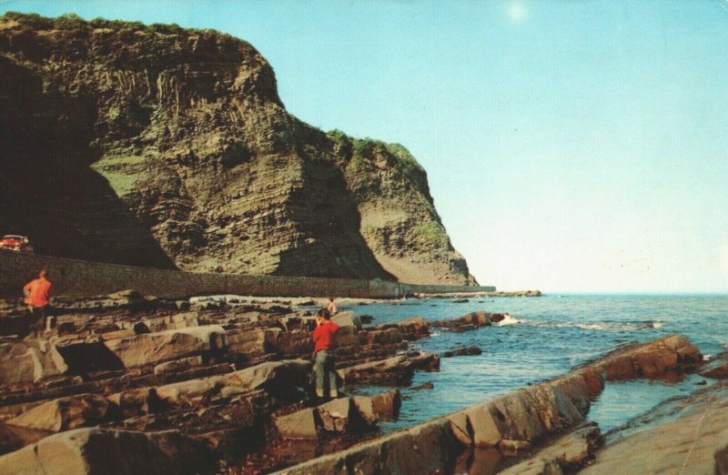 Canada Gras Marne Imposing Rock Formations North Coast Gaspe Highway 08.95