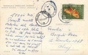 Romania Muntii bucegi cabana bulboace  Postcard