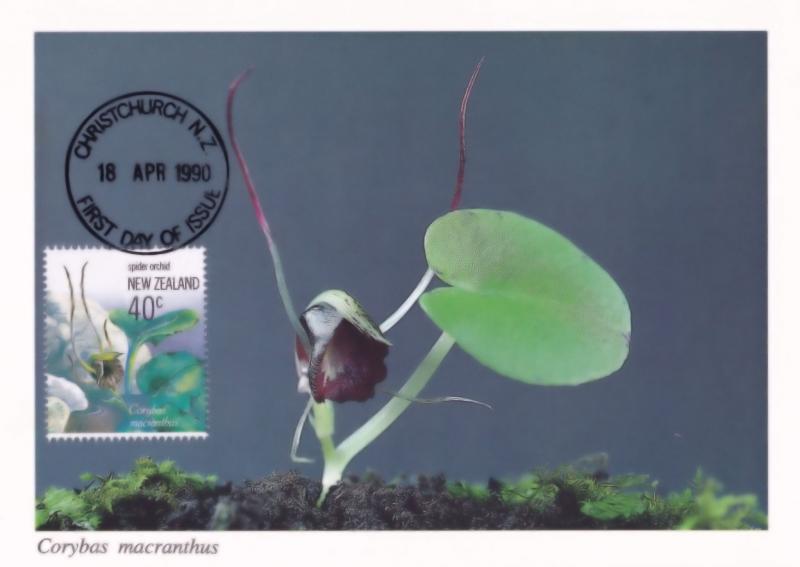 Corybas Macranthus New Zealand Christchurch Orchid Postcard First Day Cover