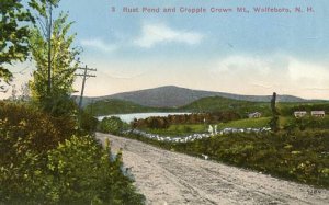 NH - Wolfeboro, Rust Pond & Cropple Crown Mountain