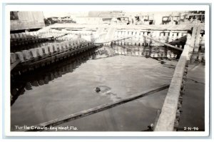 c1940's Turtle Crawls Key West Florida FL Cline RPPC Photo Vintage Postcard