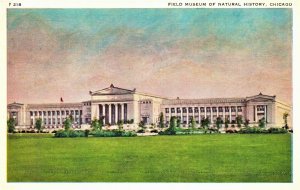 VINTAGE POSTCARD FIELD MUSEUM OF NATURAL HISTORY CHICAGO ILLINOIS