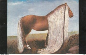 Horse with Longest Mane & Tail in World , Cooperstown , New York  , 1950-60s