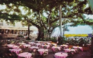 Moana Hotel's World Famous Banyan Court Lanai Hawaii