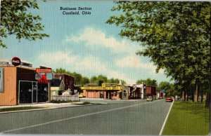Business Section Drug Store, Coke, Laundry, Canfield OH Vintage Postcard F32