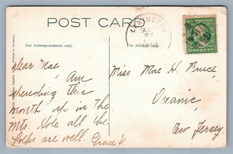 CATSKILL MTS NY LEXINGTON ANTIQUE POSTCARD 