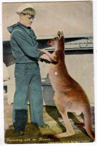 Kangaroo, Skylarking with the Mascot