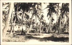 Puerto Rico Boringuen Park Trolleys c1920 Real Photo Postcard