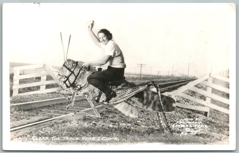 EXAGGERATED GRASSHOPPER on RAILROAD TRACKS 1938 VINTAGE REAL PHOTO POSTCARD RPPC