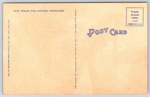 Beautiful Palm Trees Pathway Walk to Beach Ormond Florida FL Vintage Postcard