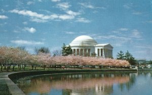 Vintage Postcard Jefferson Memorial Annual Cherry Blossom Festival Washington
