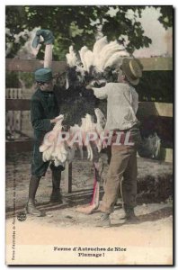 Postcard Old Farm d & # 39autruches Nice Plumage (ostrich ostrich) TOP Pet un...