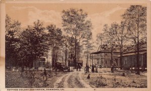 J76/ Hammond Louisiana Postcard c1910 Cottage Colony Sanitarium 345