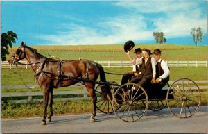 Pennsylvania Amish Country Amish In Traditional Dress In Courting Buggy