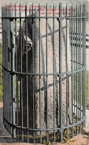 Chester Pennsylvania c1910 Postcard William Penn Stone Monument