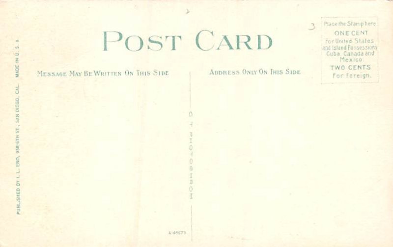 Torrey Pine San Diego CA