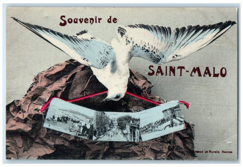 c1910 Souvenir Saint-Malo Ille-et-Vilaine France Bird Pictures Postcard