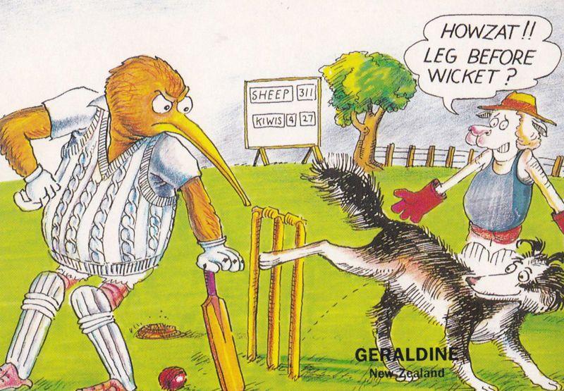 New Zealand Kiwis Sheep Leg Before Wicket Kiwi Local Comic Humour Postcard