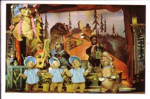 The Country Bear Jamboree, Walt Disney World, The Vacation Kingdom of the World