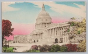 Washington DC~US Capitol & Grounds~Vintage Postcard 