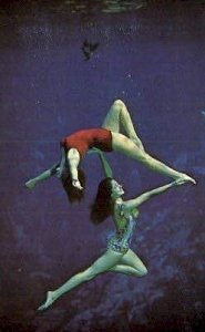 Weeki Wachee Mermaids - Florida FL  