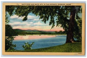 c1950's Saco River And White Mts. In The Distance Fryeburg Maine ME Postcard