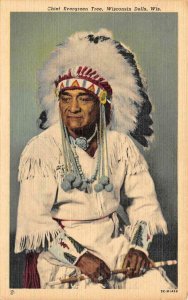 Wisconsin Dells WI ~INDIAN CHIEF EVERGREEN TREE~Animal Imitator NATIVE AMERICANA