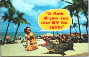 USA US Florida Alligators Would Rather Bite Then Switch Chrome Postcard 05.26