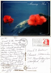 Missing You Hawaii (33061