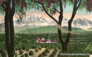 Vintage Postcard 1912 San Bernardino Road Thousand Wonders Redlands California