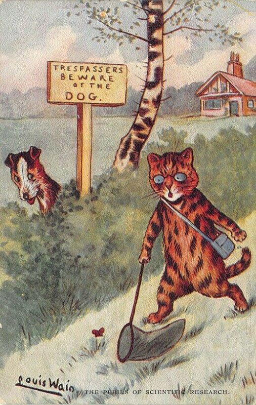 Louis Wain Cats Trespassers Beware of The Dog Butterfly Catcher Postcard