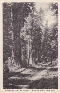 New Mexico Cloudcroft Sunshine And Shadow Albertype