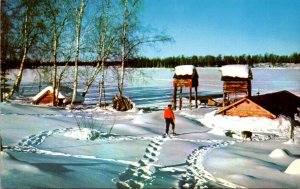 Alaska Trapper's Camp On Frozen Sucker Lake
