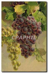 Postcard Old Wine Harvest Grapes