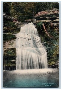c1910 Glen Brook Falls River Lake Cliff Aden New York Vintage Antique Postcard