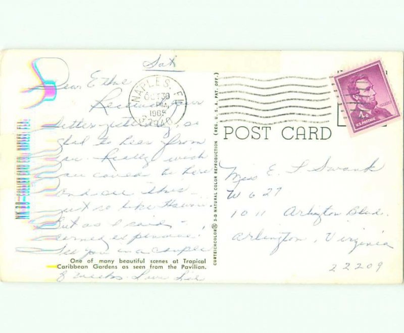 Pre-1980 GARDEN SCENE Naples Florida FL AF6806