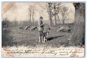 1907 Shepherd Flock Druid Hill Park Sheep Baltimore Maryland MD Vintage Postcard 