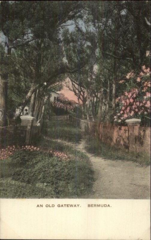 Bermuda An Old Gateway Hand Colored Postcard myn