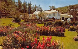 Waterlot Inn Garden Southampton Bermuda 1971 