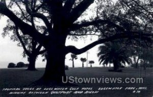 Tropical Trees At Edgewater Gulf Hotel - Real Photo - Edgewater Park, Mississ...