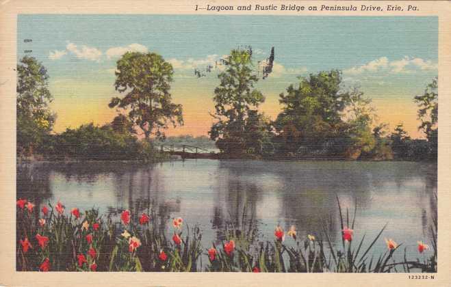 Lagoon and Rustic Bridge Peninsula Drive Erie PA Pennsylvania - pm 1953 - Linen